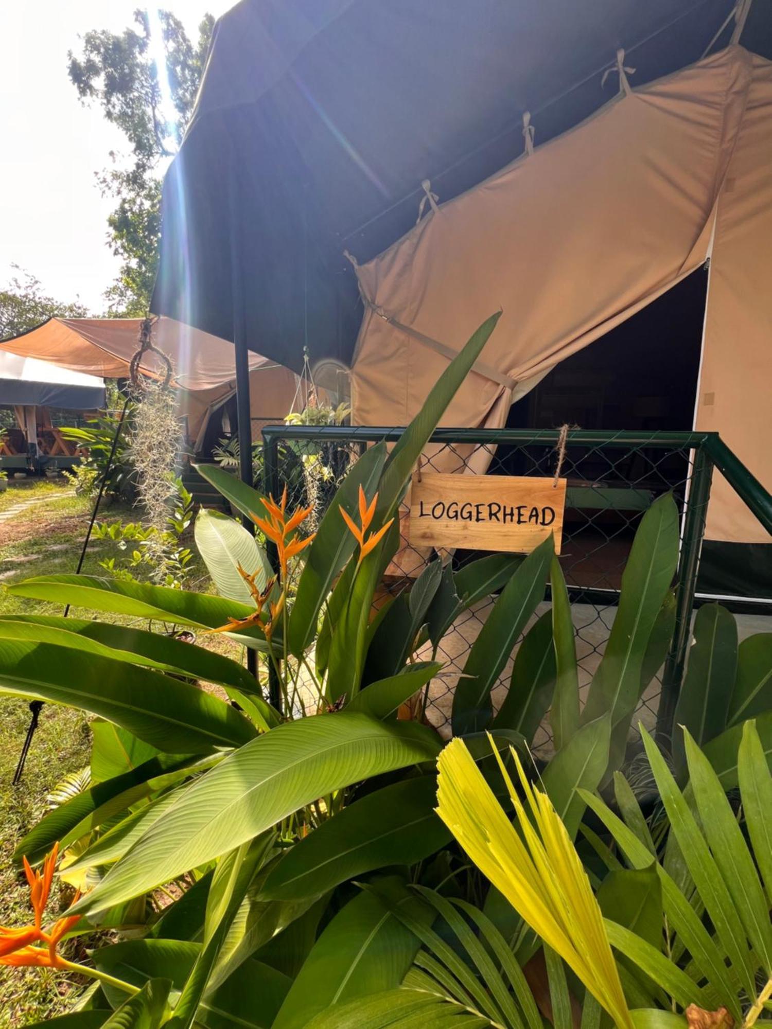 At One - Glamping Luxury tent Rekawa